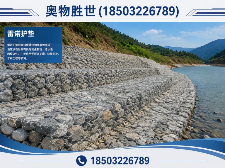 澄迈雷诺护垫展示图